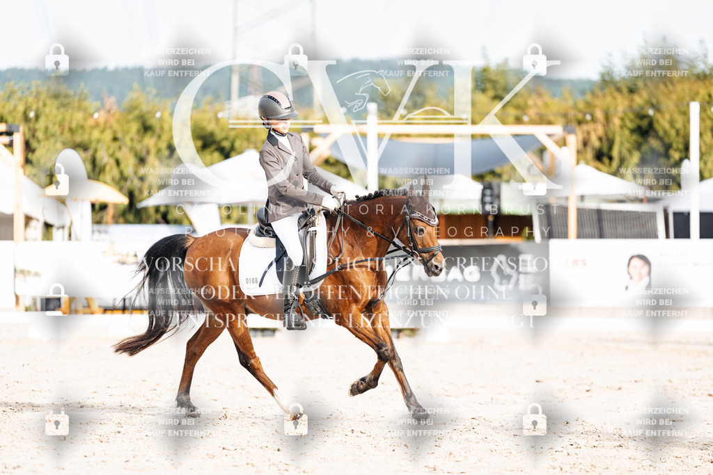 CK904075 | Turnierfotografie Pferdefotografie Trier Rheinland-Pfalz Pferdesport Reitsport Tierfotografie Sportfotografie Pferdevideo Pferdevideografie Equestrianvideography equestrianphotography  - Realisiert mit Pictrs.com