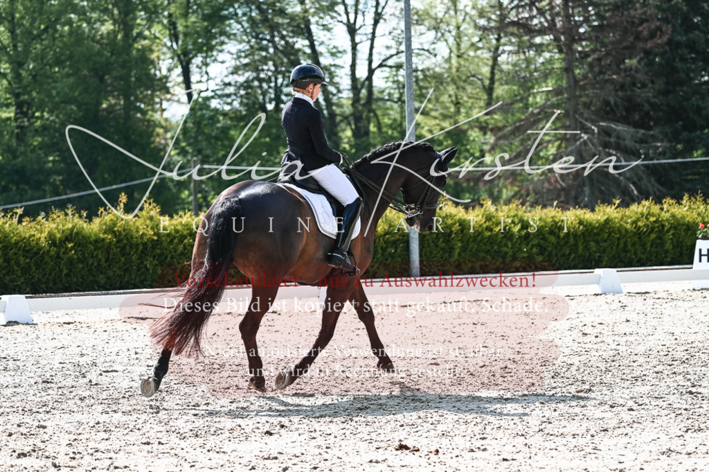 20230514_JK-Röhrsdorf-18-564 | Pferde- und Turnierfotografie in Westsachsen. Pferdeportraits, Auftragszeichnungen und intuitive Kunst.