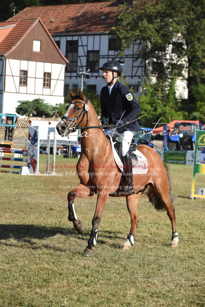 DSC_5236 | Pferde- und Turnierfotografie in Westsachsen. Pferdeportraits, Auftragszeichnungen und intuitive Kunst.