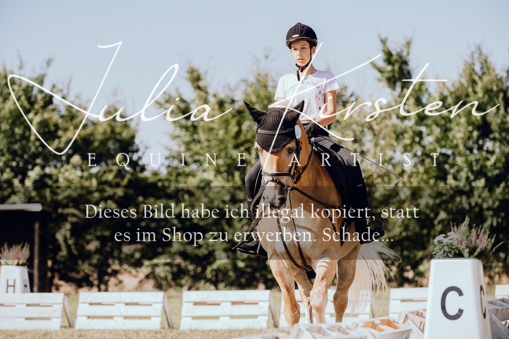 DSC_7287 | Pferde- und Turnierfotografie in Westsachsen. Pferdeportraits, Auftragszeichnungen und intuitive Kunst.