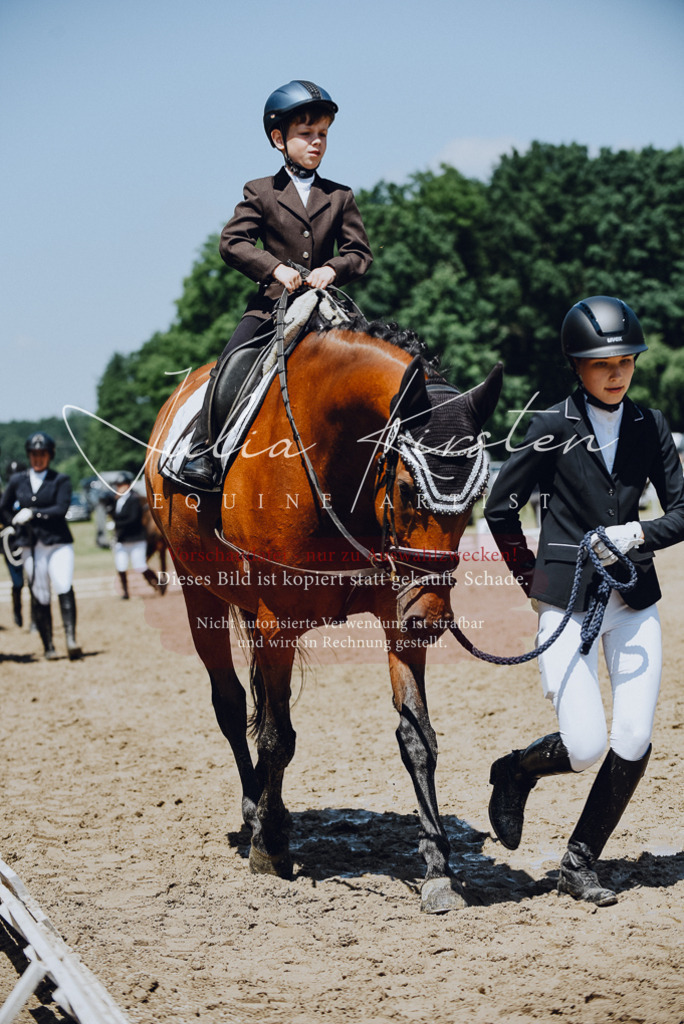 DSC_2197 | Pferde- und Turnierfotografie in Westsachsen. Pferdeportraits, Auftragszeichnungen und intuitive Kunst.