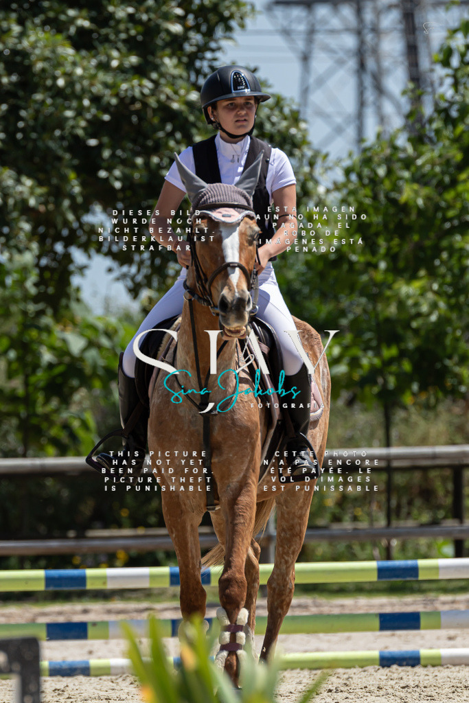 IMG_0310 | s-jay-photography - Realisiert mit Pictrs.com