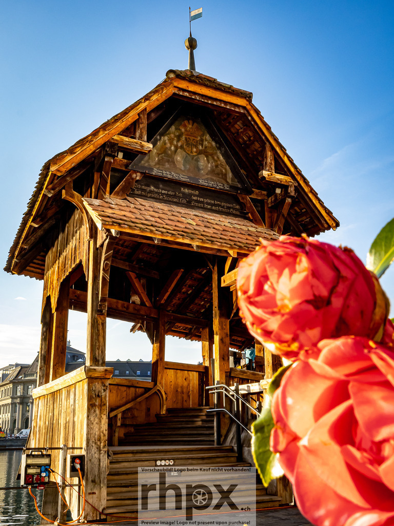 Erste Fruehlingsboten in Luzern 2026 | Stimmungsvolle Fotokunst aus Luzern. Erlebe den Pilatus, den See und die Stadt Luzern in exklusiven Aufnahmen in der Fotogalerie & Shop. - Realisiert mit Pictrs.com