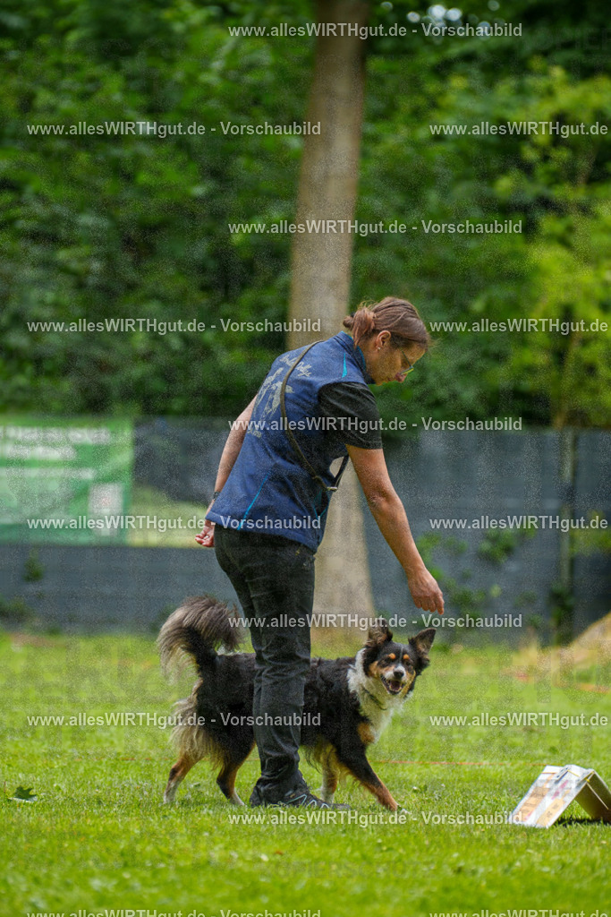 @allesWIRTHgut_Tierfotografie - www.allesWIRTHgut.de - 091828-7R506911 | Professionelle Tierfotografie in Mönchengladbach von Daniel Wirth (allesWIRTHgut). Liebevolle & natürliche Bilder von Hunden & Katzen für unvergessliche Erinnerungen.