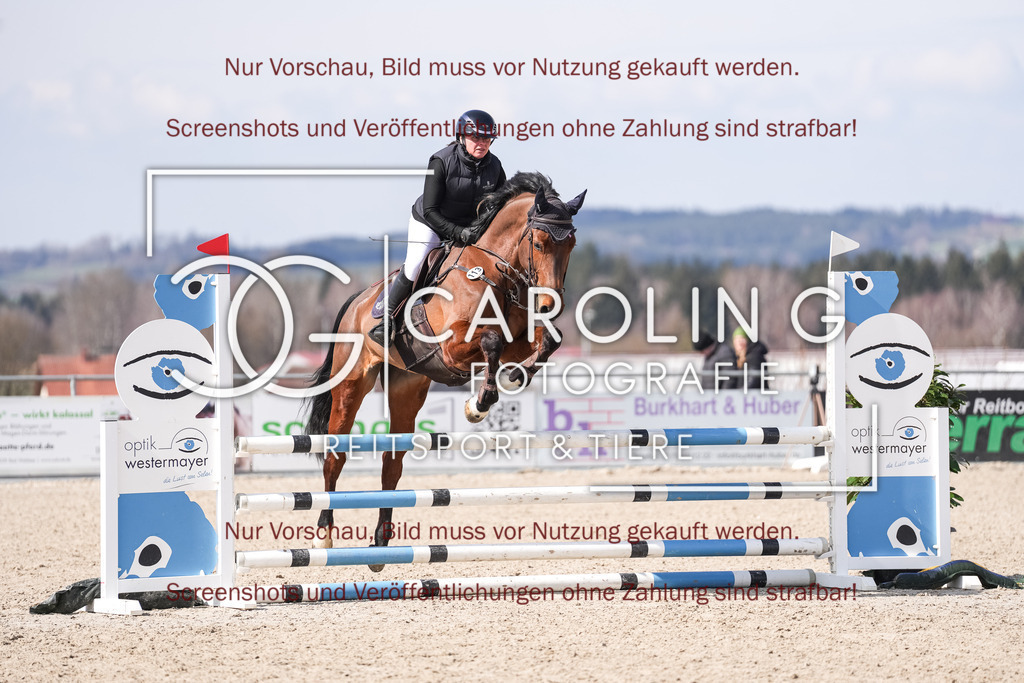 DSC05338 | Late_entry_Springturnier_Bad_Wurzach, Bella_G, Miriam_Bohn