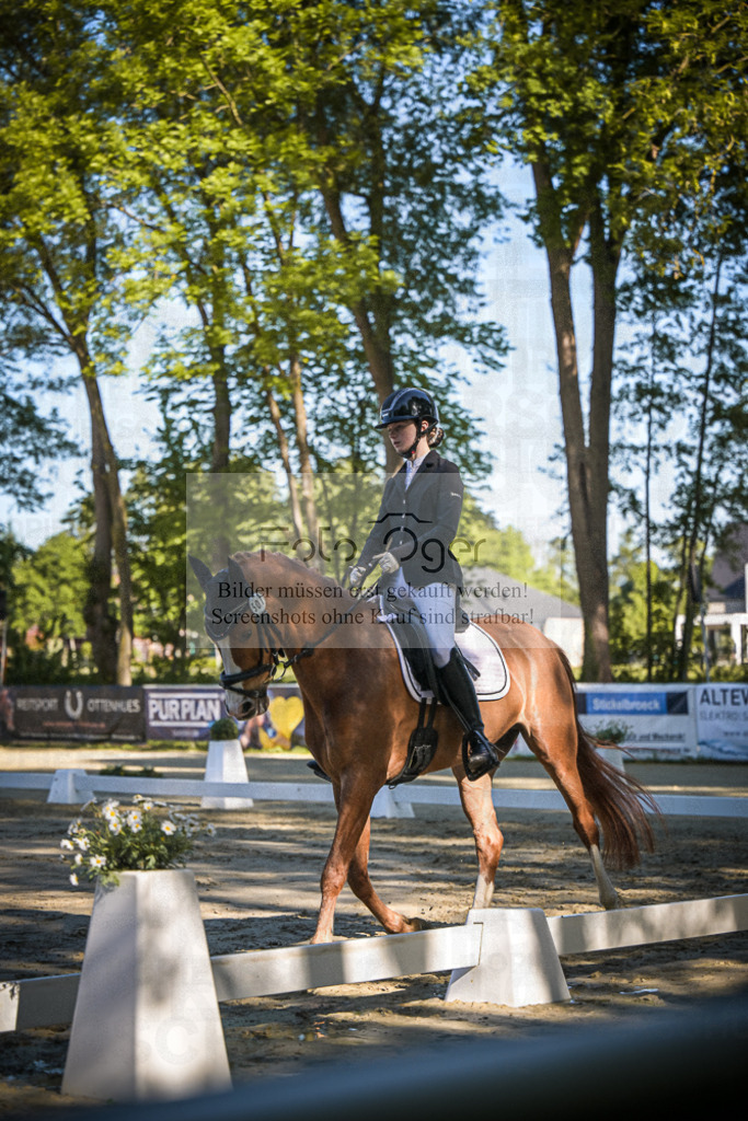 DOS_3380 | Entdecke hochwertige Reitturnierfotos von Foto Oger. Professionell, emotional und authentisch – jetzt Lieblingsmomente im Shop bestellen.Deutschlandweite Turnierfotografie. - Realisiert mit Pictrs.com