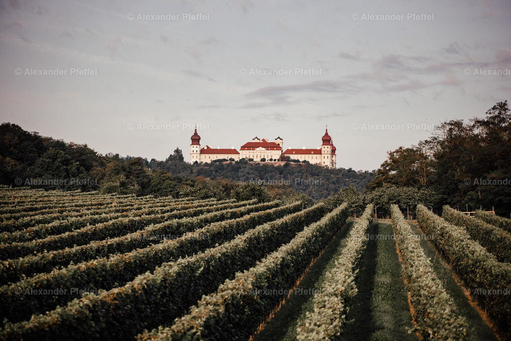 goettweig_umgebung_c_alexander_pfeffel-8528 | alexander-pfeffel - Realisiert mit Pictrs.com