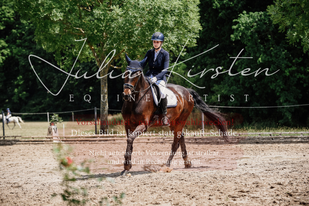 DSC_1489 | Pferde- und Turnierfotografie in Westsachsen. Pferdeportraits, Auftragszeichnungen und intuitive Kunst.