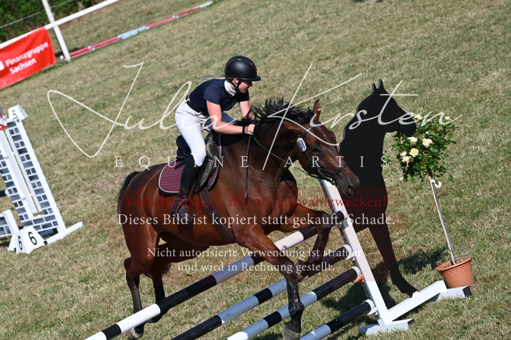 DSC_2359 | Pferde- und Turnierfotografie in Westsachsen. Pferdeportraits, Auftragszeichnungen und intuitive Kunst.