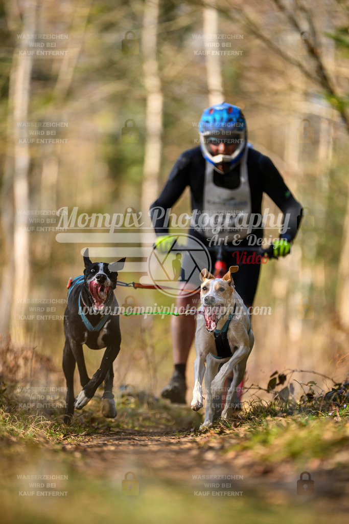 MompixPhotography_6ReiatRennen2026_SO_Scooter-6 | PayLife