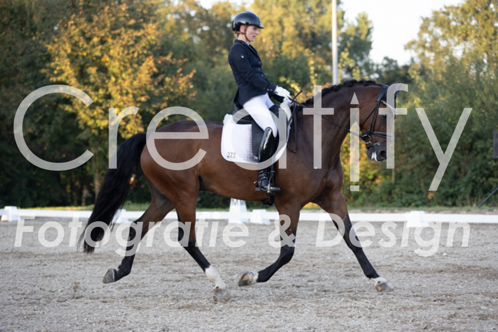 IMG_1752 | Creatify Fotografie