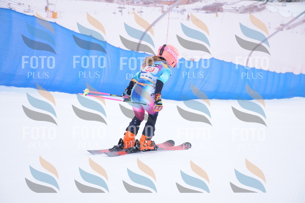 DSC_7989 | holidayphoto