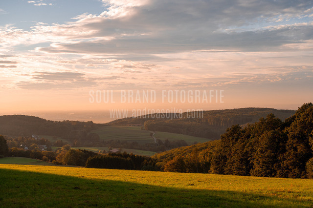 DSC_9364 Kopie | andreasojkafotografie - Realisiert mit Pictrs.com