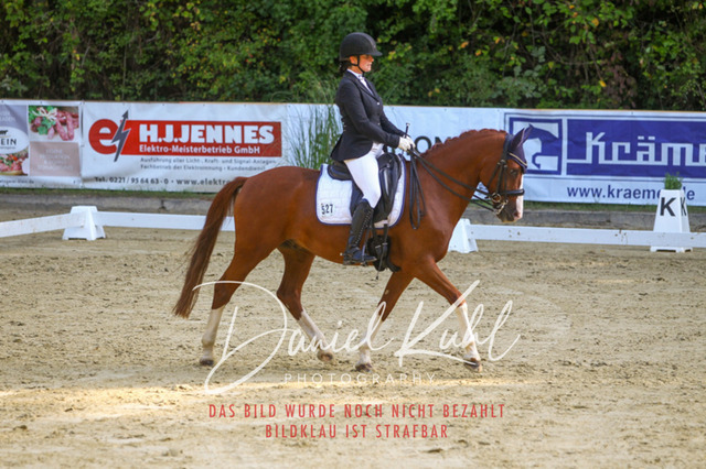 DKP41655 | Turniersportfotografie; Pferdefotografie; Dressurfotografie