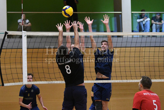 TSV Plattling Volleyball - Isarvolleys | TSV Plattling Volleyball - Isarvolleys - Realisiert mit Pictrs.com