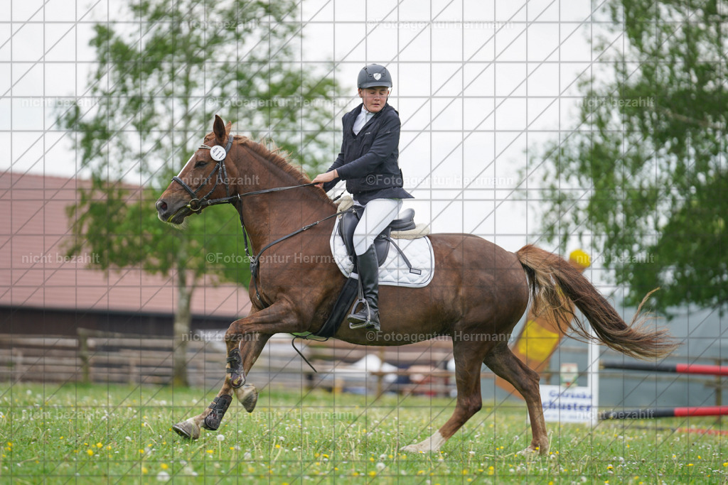 20240509-FAH02546 | Turnierbilder der Turnierfotografen Bayern, Pferdesport Fotografie, Reitsportbilder, Turnier Landberg am Lech, Turnierbilder bayern, Fotoagentur Herrmann