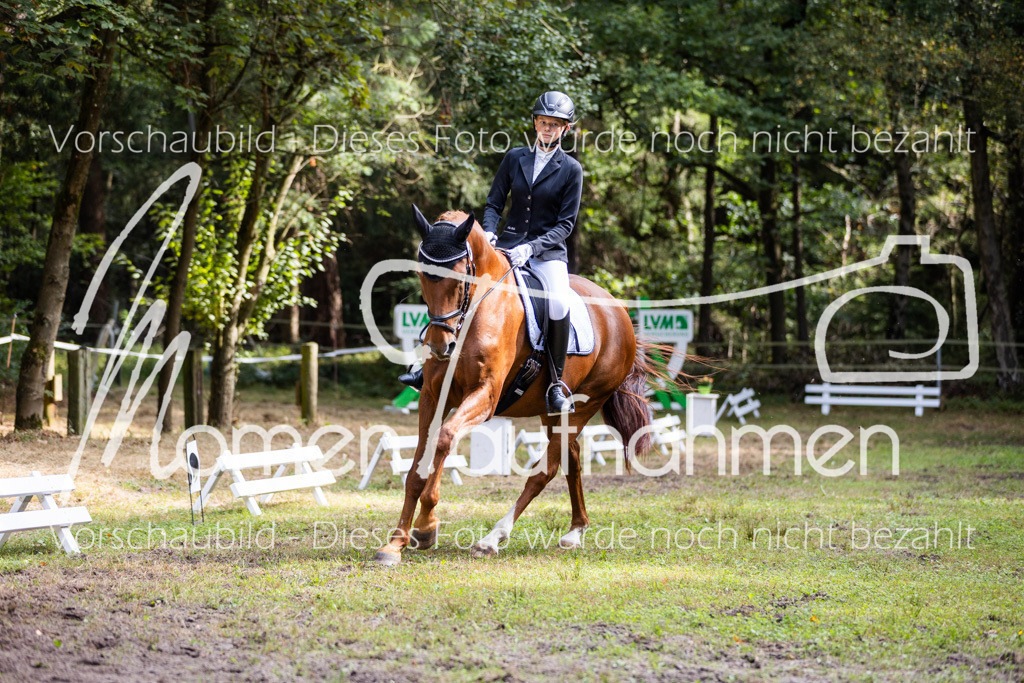 HB-Dressur-WB-049 | MomenTaufnahmen Pferdesportfotos