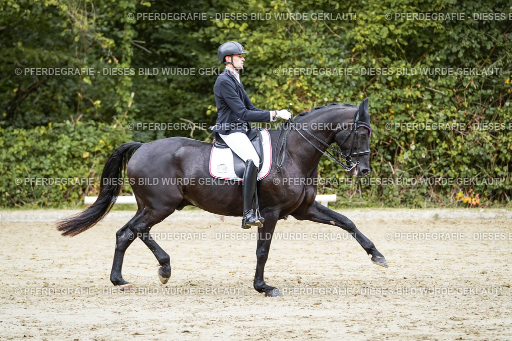 DSC05638 | Pferdegrafie