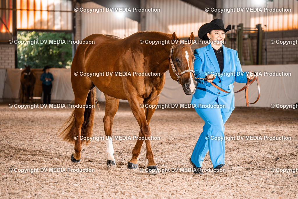 ZH100098 | dv-media-shop - Realisiert mit Pictrs.com