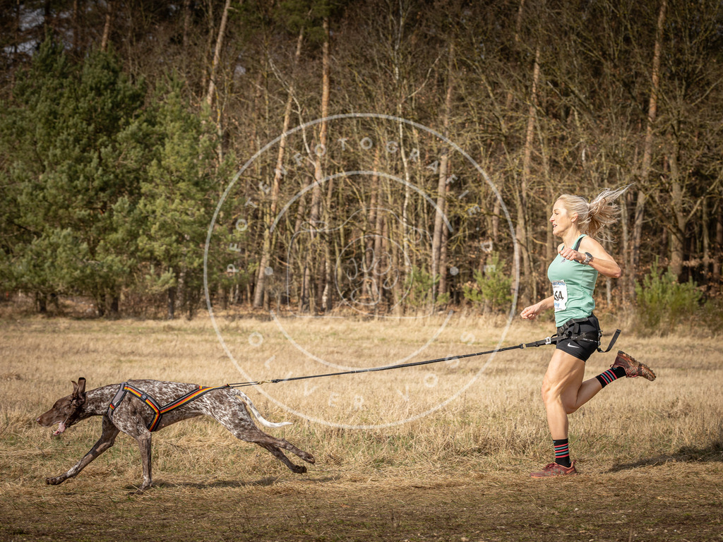 DV3A5615 | Hundefotografie, Tierfotograf, Pfotenfotografie, Fotoshooting Hund, Hunde Portrait, Hundesport, Hundeportraits, Heideshooting, Hunde, Sportfotograf, Hundefotograf, Turnierhundsport, THS,  - Realisiert mit Pictrs.com