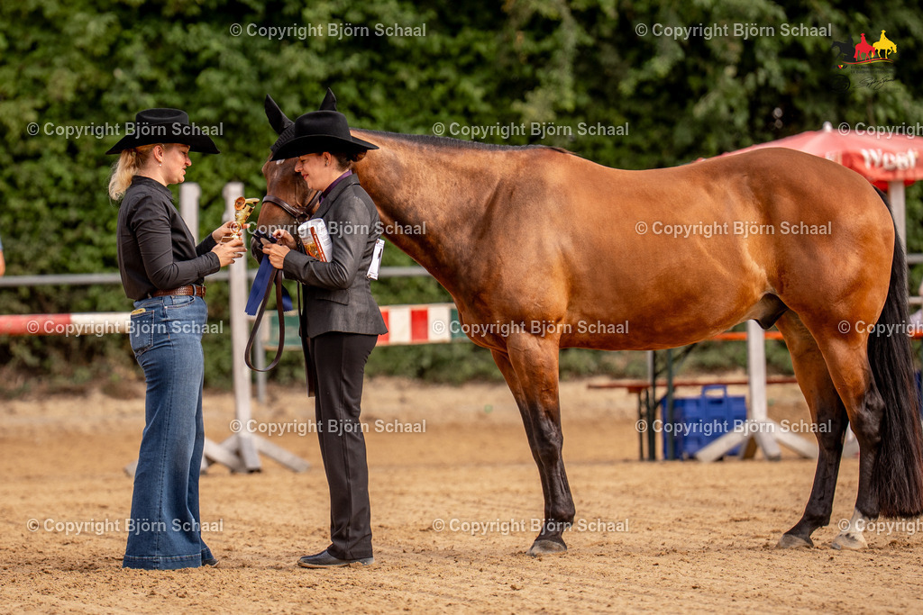 LMS06618 | BS-foto