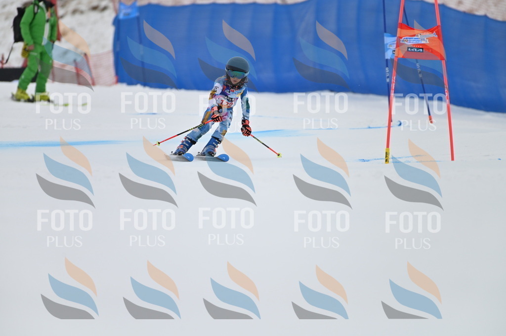 BGV_0655 | holidayphoto