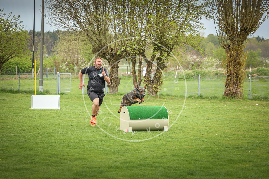 Pfotenfotografie_0L8A9696 | Hundefotografie, Tierfotograf, Pfotenfotografie, Fotoshooting Hund, Hunde Portrait, Hundesport, Hundeportraits, Heideshooting, Hunde, Sportfotograf, Hundefotograf, Turnierhundsport, THS,  - Realisiert mit Pictrs.com