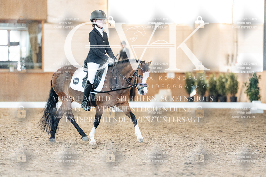 CK907452 | Turnierfotografie Pferdefotografie Trier Rheinland-Pfalz Pferdesport Reitsport Tierfotografie Sportfotografie Pferdevideo Pferdevideografie Equestrianvideography equestrianphotography  - Realisiert mit Pictrs.com