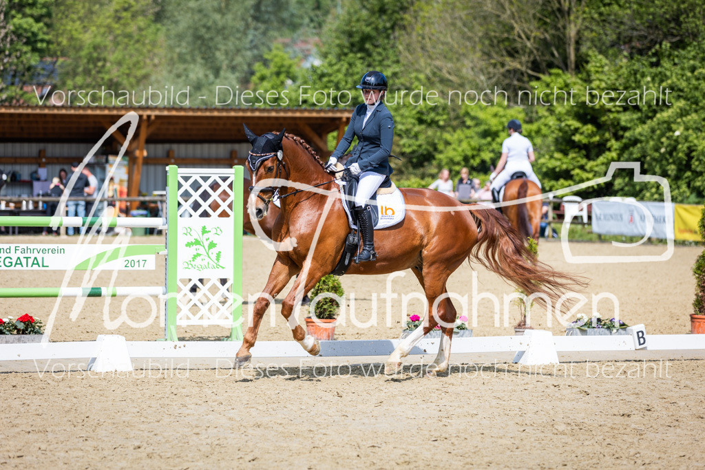 Donop24-L-Dre-020 | MomenTaufnahmen Pferdesportfotos