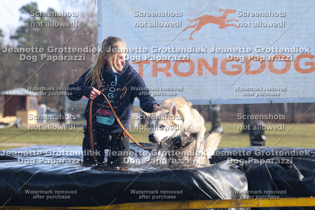 Dog Paparazzi - Strongdog North Mrz26-1086 | Dog Paparazzi Jeanette Grottendiek Fotografie & Videografie - Realisiert mit Pictrs.com