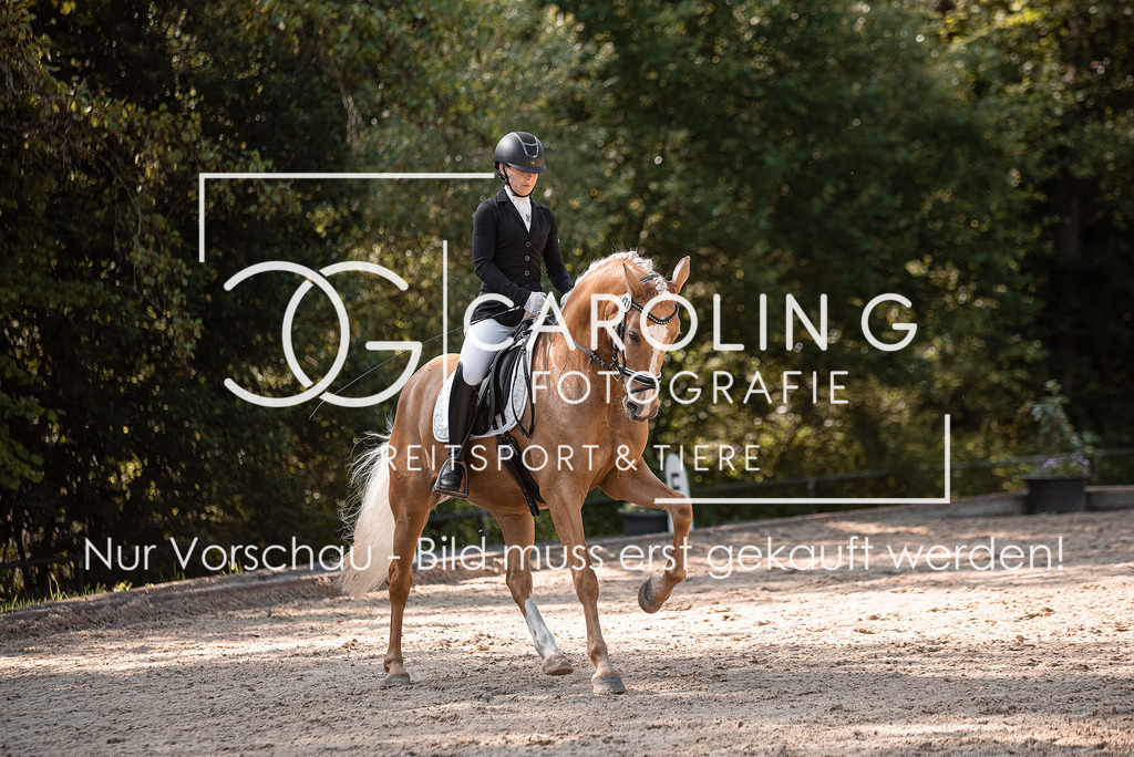 DSC_5000 | Turnierfotografin Carolin Gieschke, Turnierfotografie Carolin G Fotografie, Turnierfotos Kirchheim/Teck, Esslingen, Stuttgart, Bodenseekreis