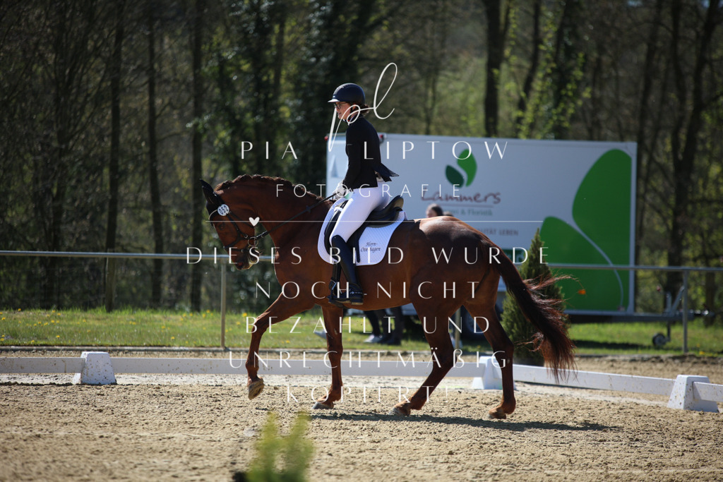 IMGT0743 | pl-fotografie