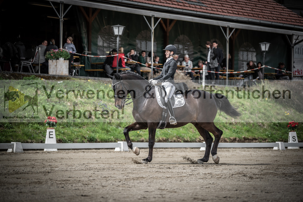 DSC_2266 | equestrian-live-com