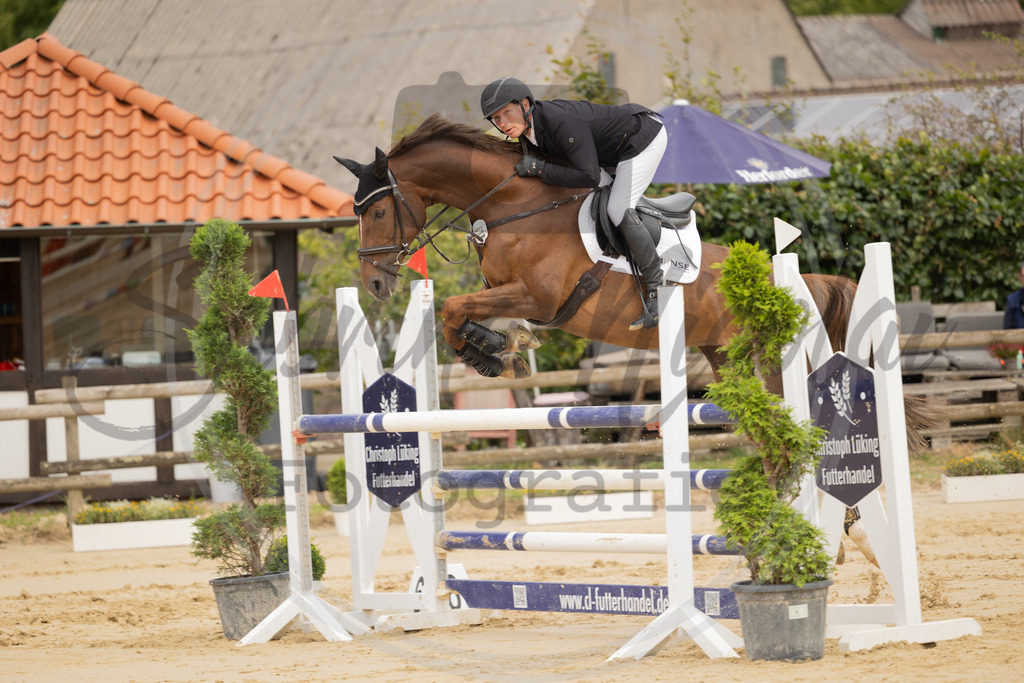 994A9147 | sabrinanicolaifotografie - Realisiert mit Pictrs.com