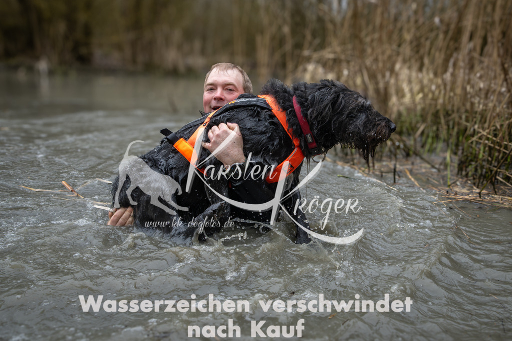 1019_ZZ98556 | kk-dogfotos