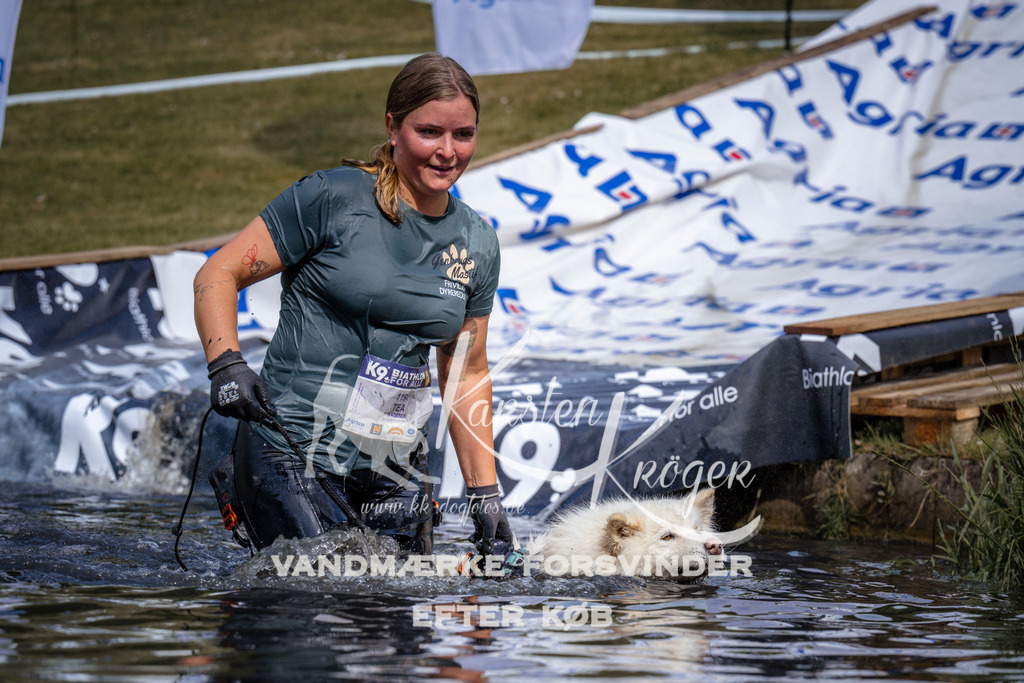 _ZZ905170900 | kk-dogfotos