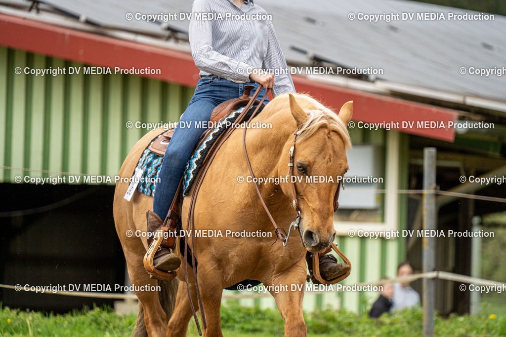 BAL00829 | dv-media-shop - Realisiert mit Pictrs.com