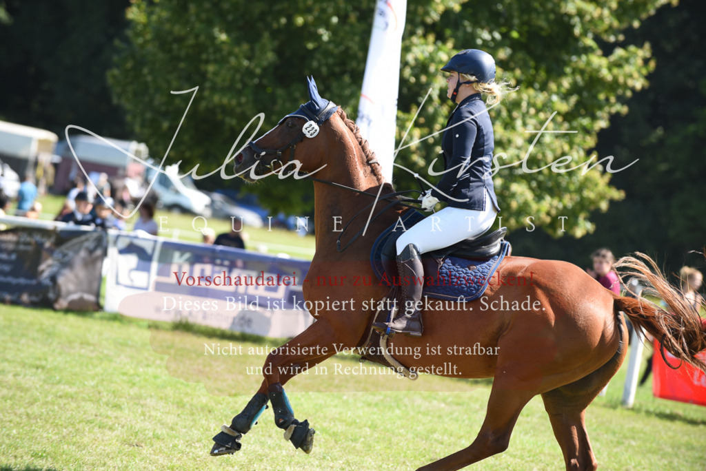 DSC_9297 | Pferde- und Turnierfotografie in Westsachsen. Pferdeportraits, Auftragszeichnungen und intuitive Kunst.