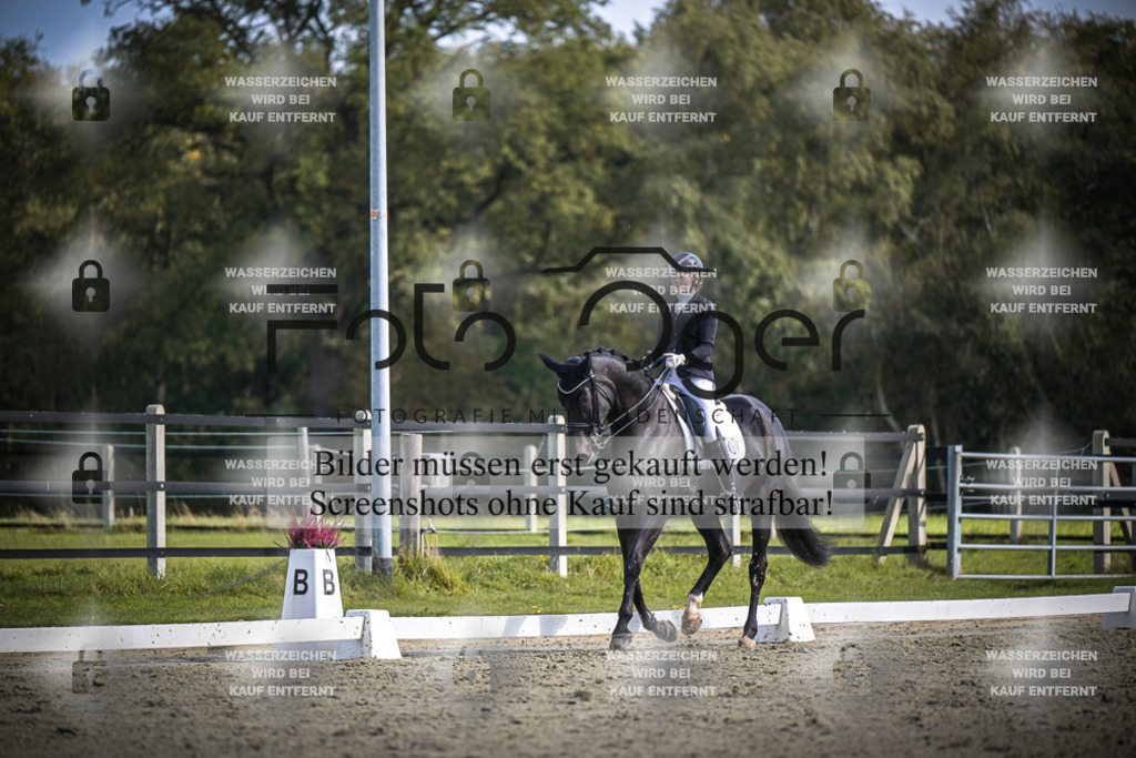 DOS_0362 | Entdecke hochwertige Reitturnierfotos von Foto Oger. Professionell, emotional und authentisch – jetzt Lieblingsmomente im Shop bestellen.Deutschlandweite Turnierfotografie. - Realisiert mit Pictrs.com