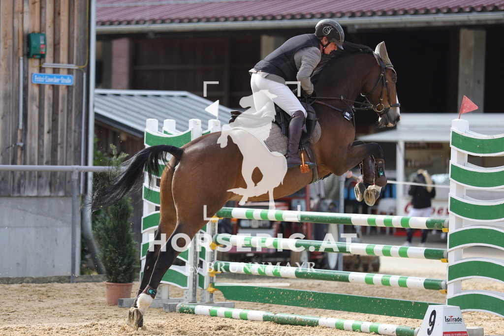 0P6A4602 | Willkommen bei Brunnmayr - Design & Fotografie – Ihrem Spezialisten für Reitturniere und Pferdeveranstaltungen in Oberösterreich, Salzburg und Bayern! Seit über 17 Jahren sind wir leidenschaftlich dabei.