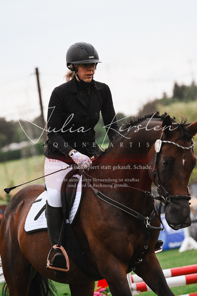 DSC_6571 | Pferde- und Turnierfotografie in Westsachsen. Pferdeportraits, Auftragszeichnungen und intuitive Kunst.