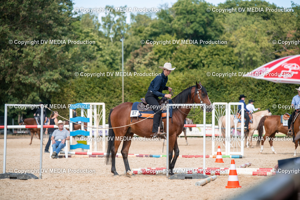 EWP_6871 | dv-media-shop - Realisiert mit Pictrs.com