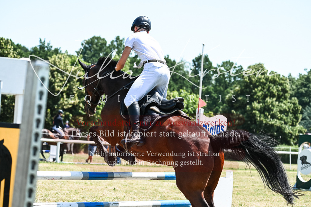 DSC_0382 | Pferde- und Turnierfotografie in Westsachsen. Pferdeportraits, Auftragszeichnungen und intuitive Kunst.