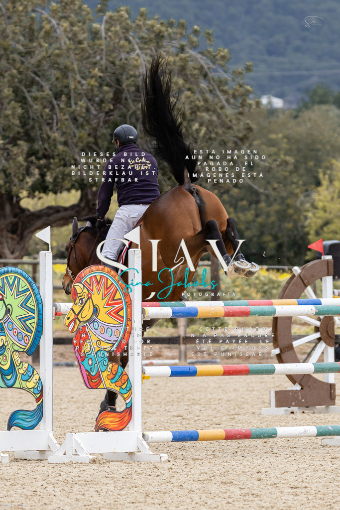 IMG_5290 | s-jay-photography - Realisiert mit Pictrs.com