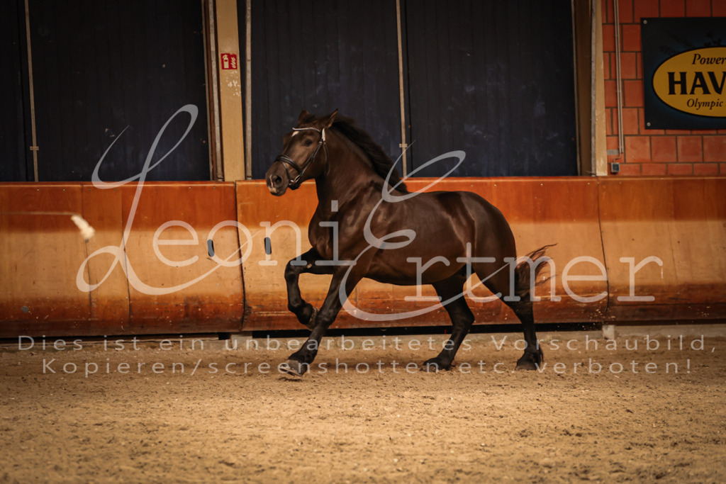 SaFL00394 | Leoni Ertmer Photography - Realisiert mit Pictrs.com