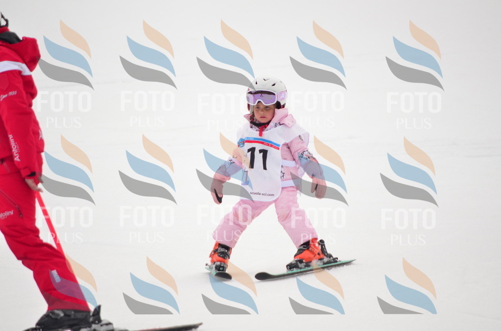 B8991 | holidayphoto