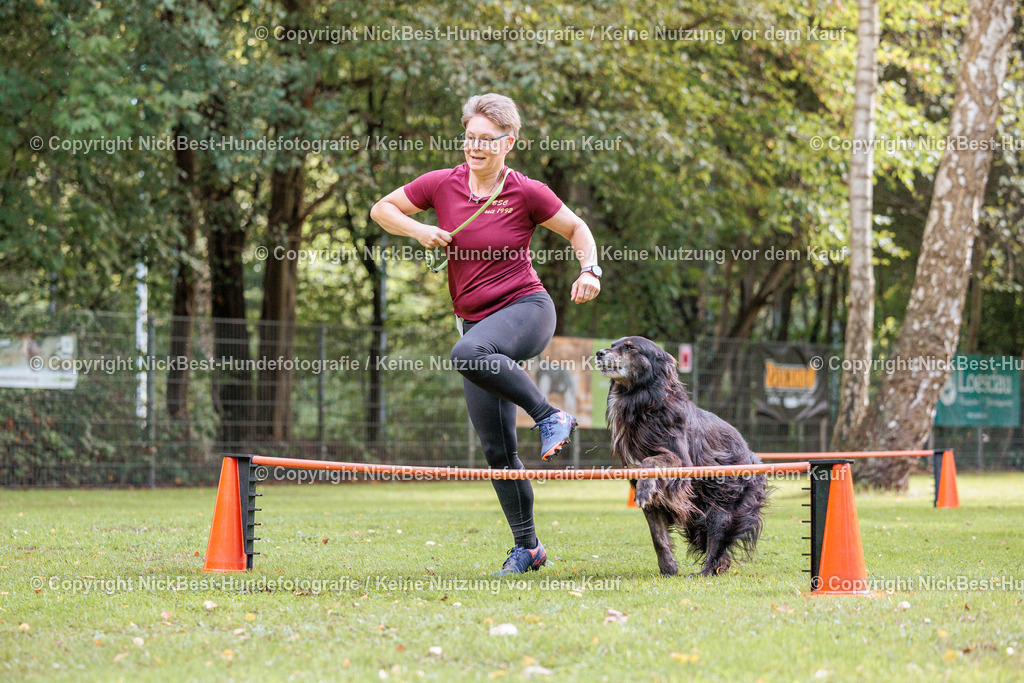 THS-HSV-Blumenthal-2026-Nickbest-Hundefotografie-3473 | Dein Hund! Dein Moment! Deine Erinnerungen! Hundefotografie in Bremen Blumenthal. Ich fange die besonderen Momente deines Vierbeiners ein – ob Indoor mit Blitzanlage oder in der freien Natur. Sicher dir dein Moment und dein Termin für eure Erinnerungen.