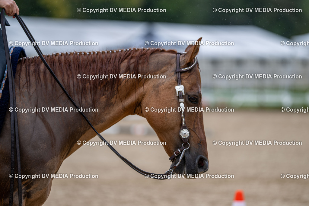 LM Heiligenwald Tag 3-124 | dv-media-shop - Realisiert mit Pictrs.com