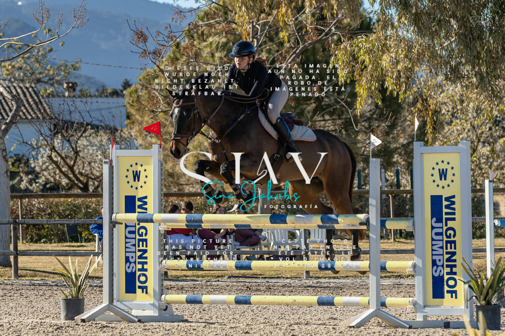 IMG_1975 | s-jay-photography - Realisiert mit Pictrs.com