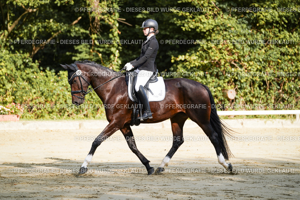 DSC07946 | Pferdegrafie